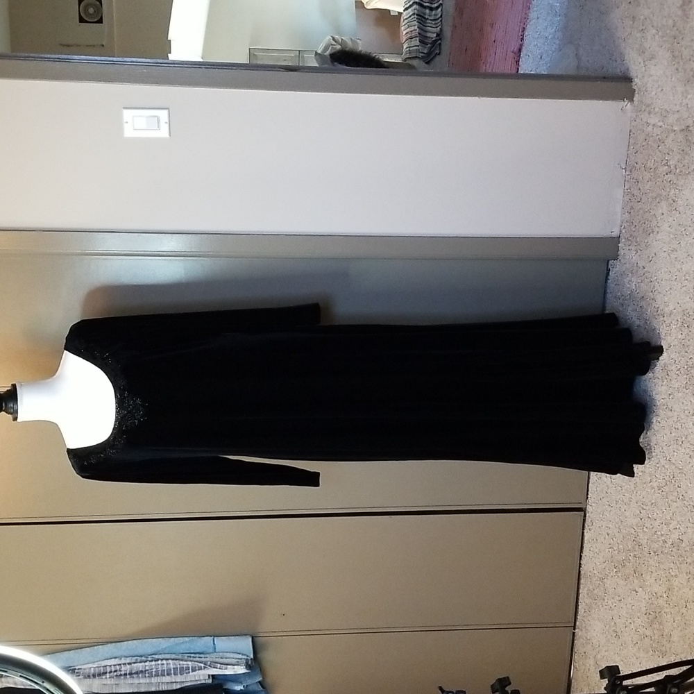 Velvet (polyester), delicately embellished sequins, long back zipper formal